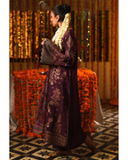 Husan E Zarin